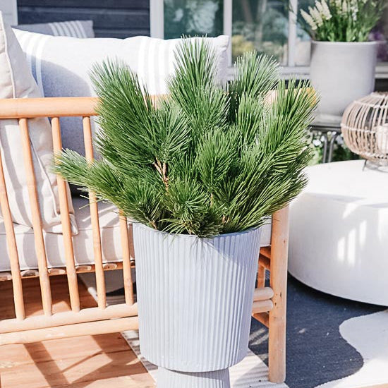 UV-protected silk mountain pine