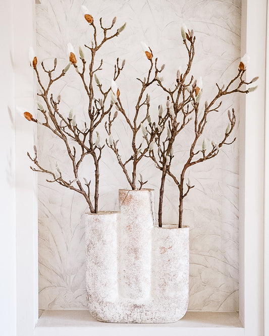 Magnolian oksat nupuilla maljakossa