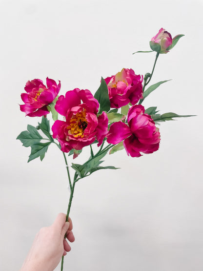 Single fuchsia silk peony stem