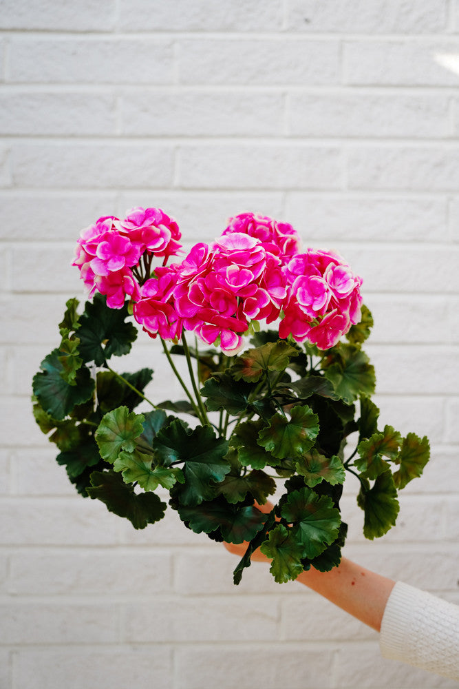 UV-suojattu pinkki tai luonnonvaalea pelargonia -silkkikasvi