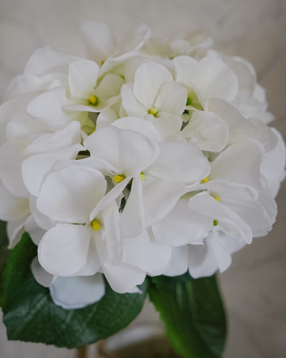 Valkoisen hortensia-silkkikukan pyöreä kukinto lähikuvassa