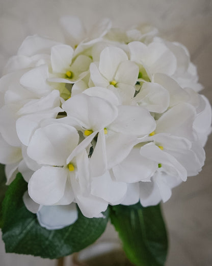 Valkoisen hortensia-silkkikukan pyöreä kukinto lähikuvassa