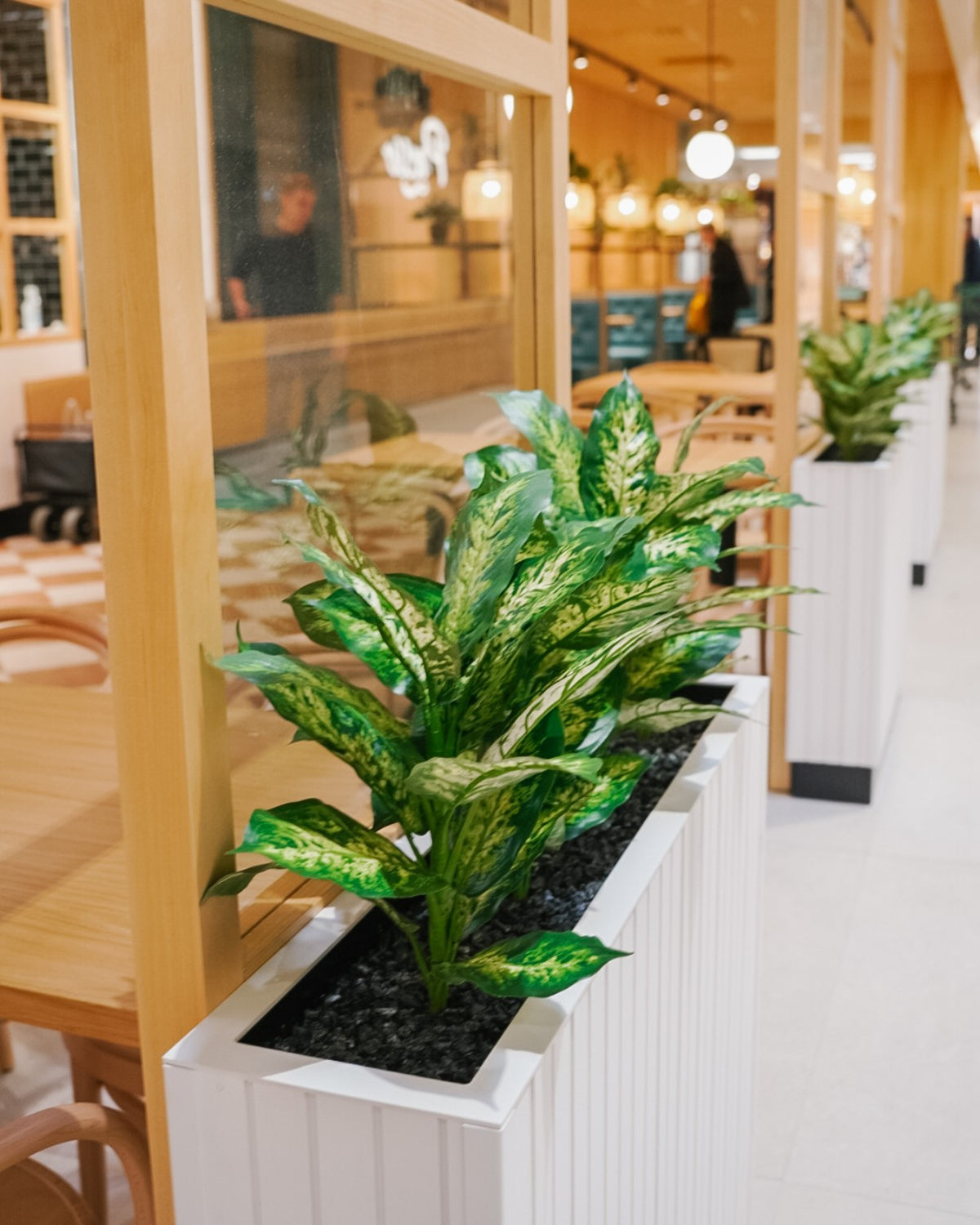 Tall everlasting plants in a restaurant interior