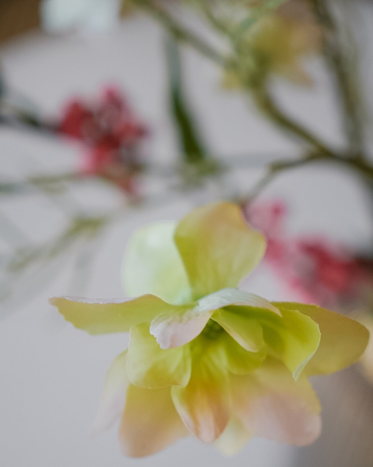 White hellebore and burgundy cosmos in the Saga silk bouquet