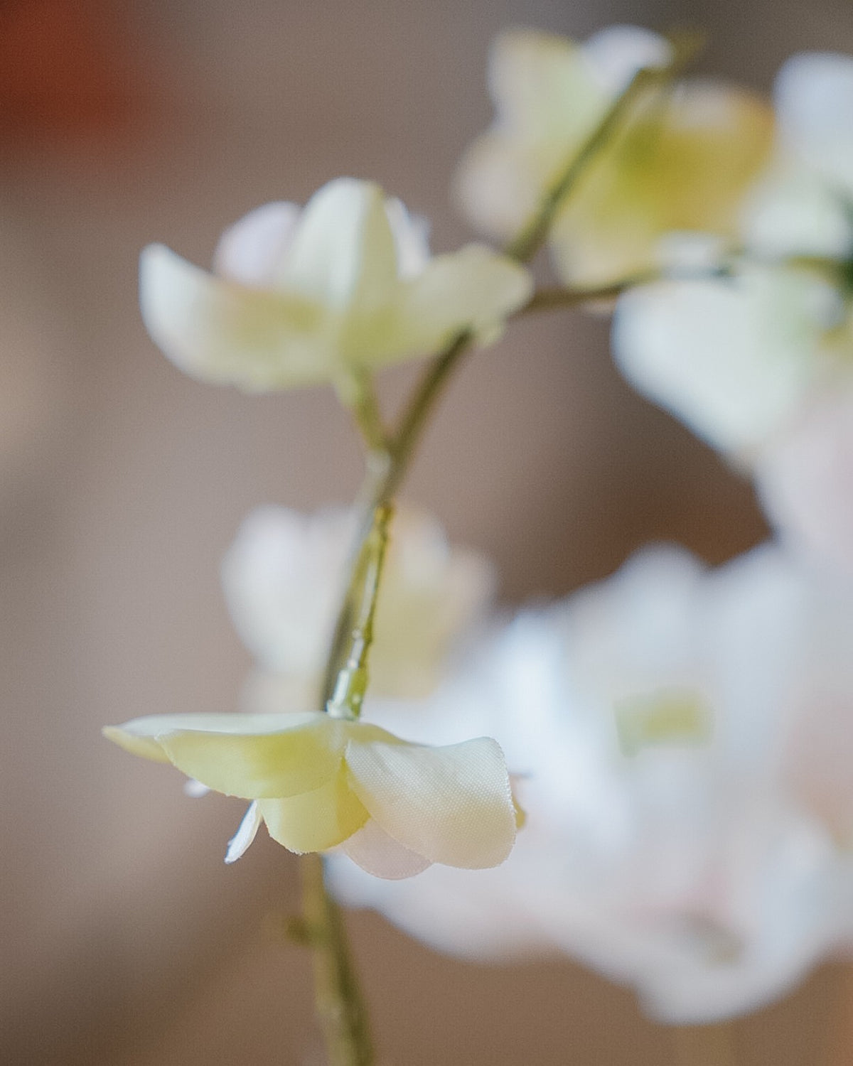 Pale green and cream silk flower in a detail of the Saga bouquet