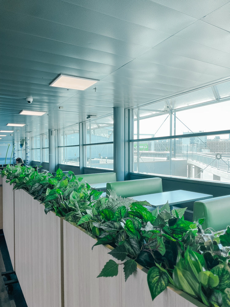 Lifelike silk plants styled as part of an interior