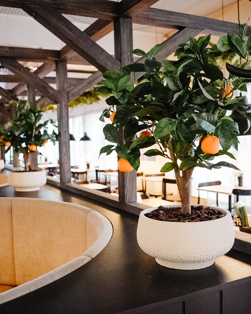 Lifelike silk plants styled as part of an interior